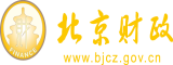 网站啊啊啊啊操我北京市财政局