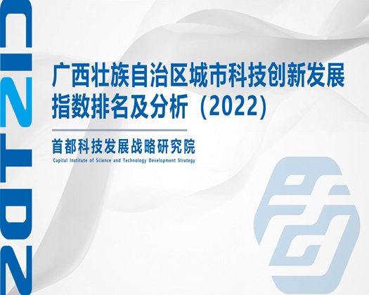 老人BBw视频砚看【成果发布】广西壮族自治区城市科技创新发展指数排名及分析（2022）